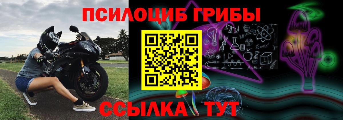 Касимов  Галлюциногенные грибы MAGIC MUSHROOMS  Псилоцибиновые грибы MAGIC MUSHROOMS  Вход с VPN 