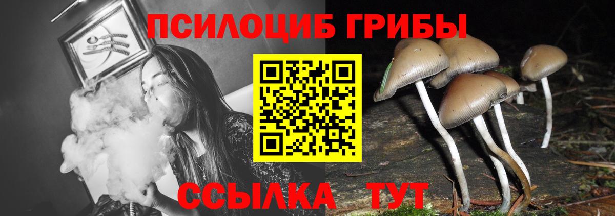 Галлюциногенные грибы GOLDEN TEACHER Касимов